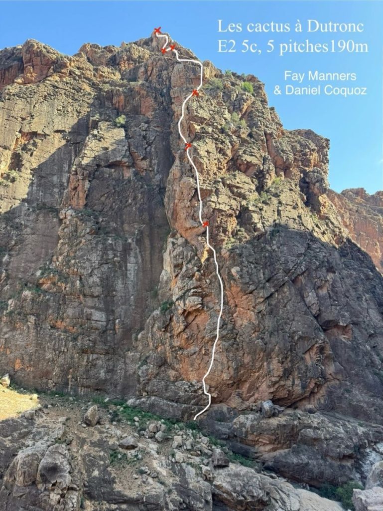 Les Cactus à Dutrone @ Daniel Coquoz