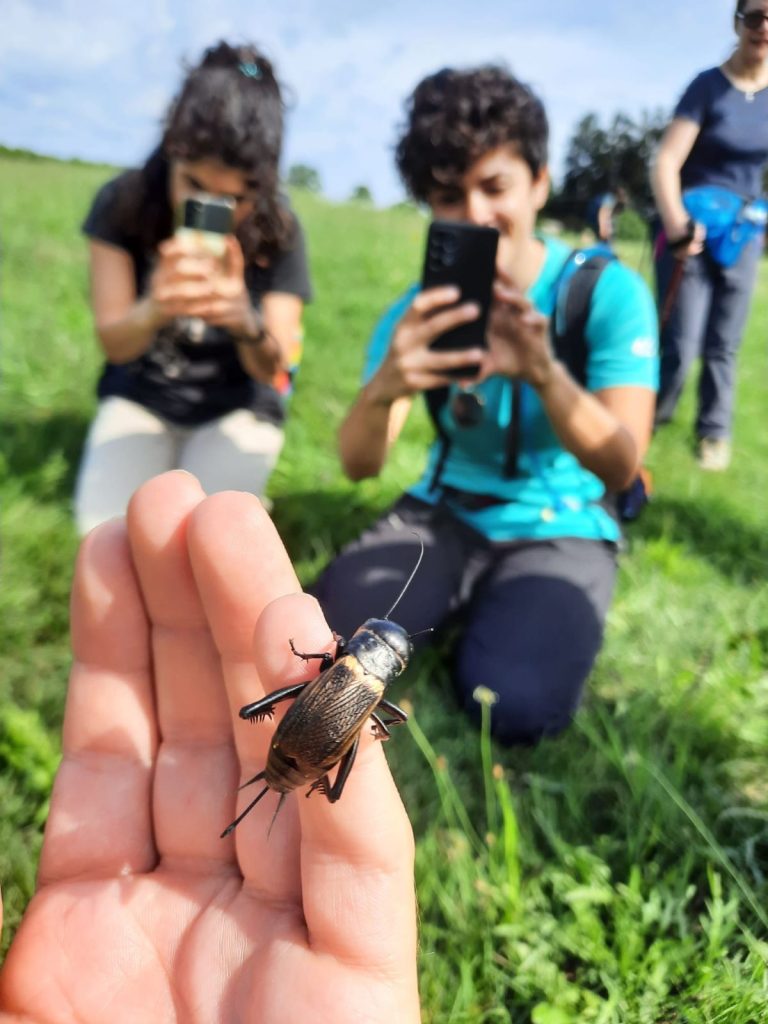 Lezioni sul campo nella scorsa edizioni del Master
