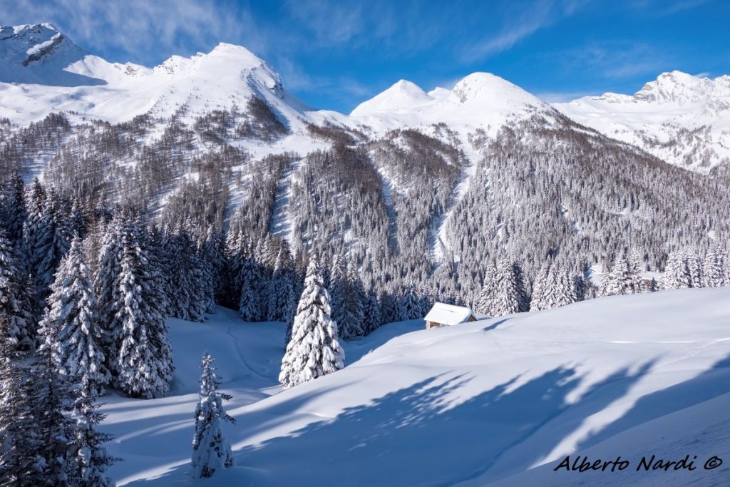 Lungo il sentiero per Forestin ai piedi delle Alpi dell