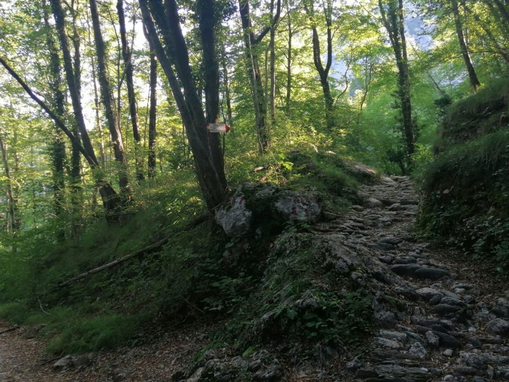 Lungo il sentiero. Foto Ettore Pettinaroli