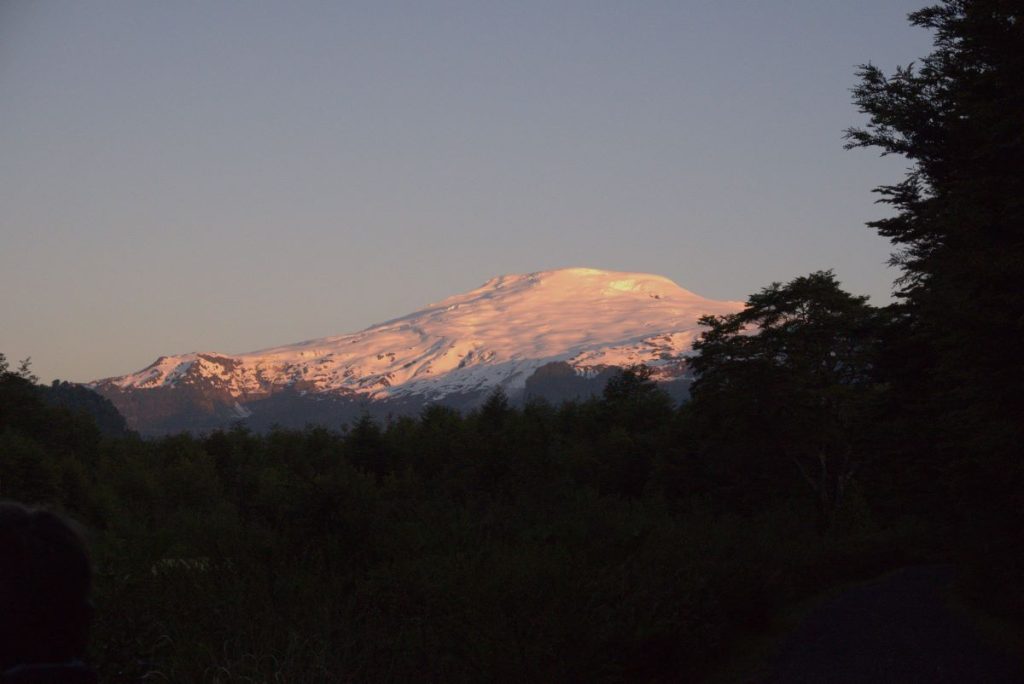 Nel Parco Nazionale Pumalin, in Cile. Foto Elena Casolaro