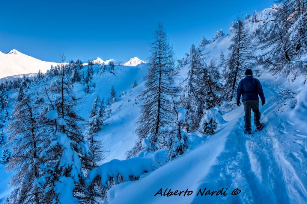 Risalendo la Val Fredda. Foto Alberto Nardi