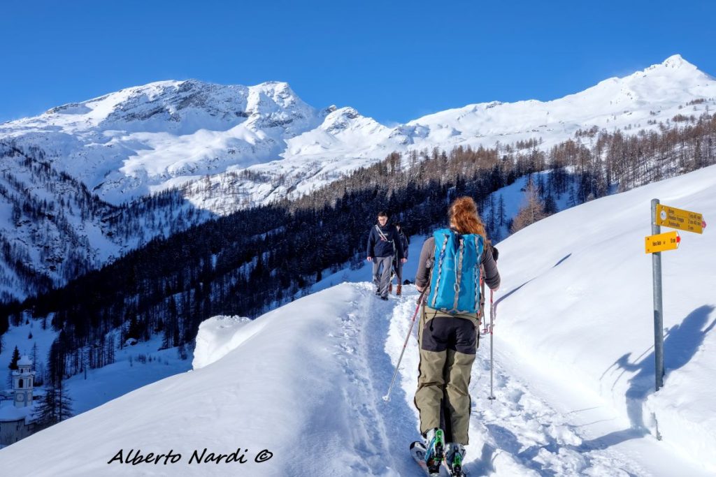 Salendo a Grossalp. Sullo sfondo da SX; Monte Madone-Batnall (2748 m) e Monte Rizo-Ritzberg (2592 m). Foto Alberto Nardi
