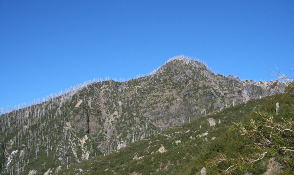 Salendo verso il vulcano Chaitèn. Foto Elena Casolaro