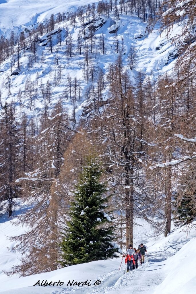 Salendo verso la Grossalp. Foto Alberto Nardi