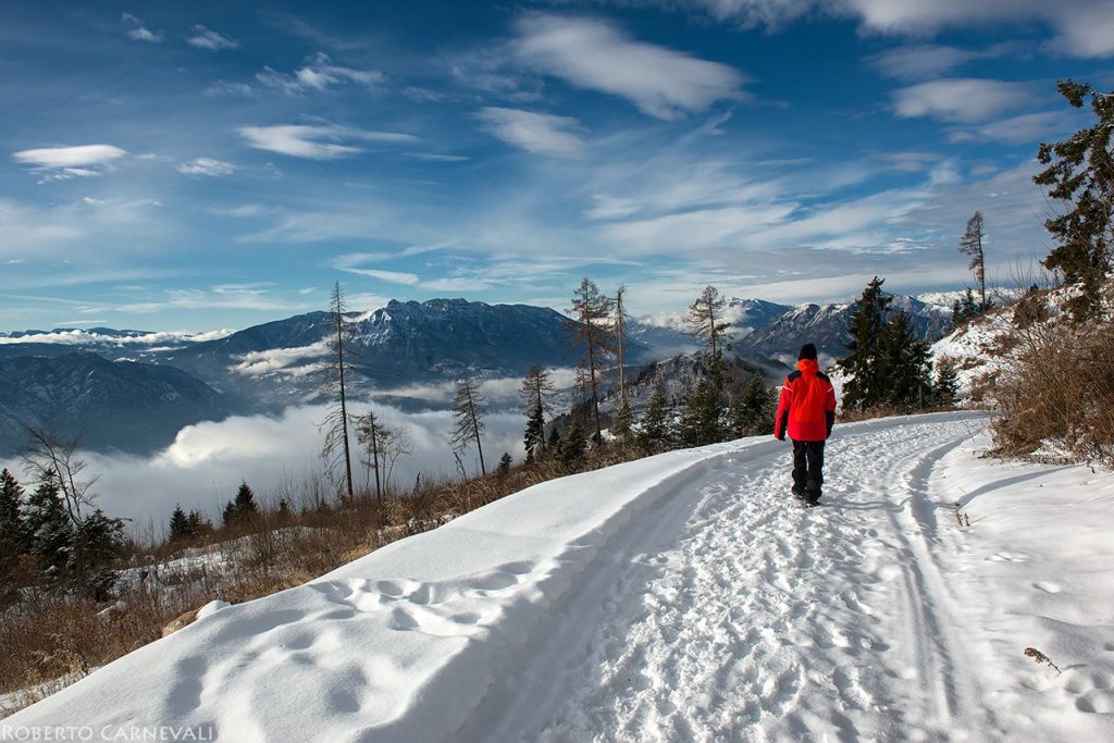 Sul comodo tracciato della strada forestale. Foto Roberto Carnevali