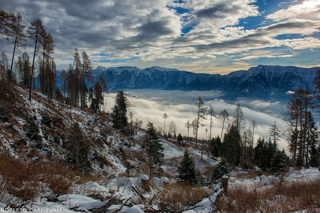 Tra i resti del bosco distrutto dalla tempesta Vaia. Foto Roberto Carnevali
