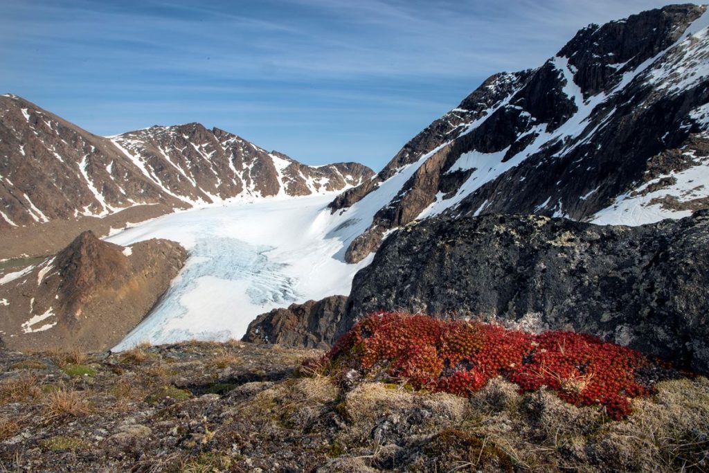 Un ghiacciaio delle Aqqutikitsoq Mountains Groenlandia, foto Colucci-CNR