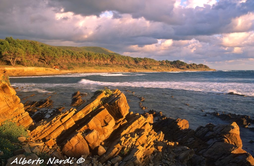 La costa di Punta Licosa. Foto Alberto Nardi