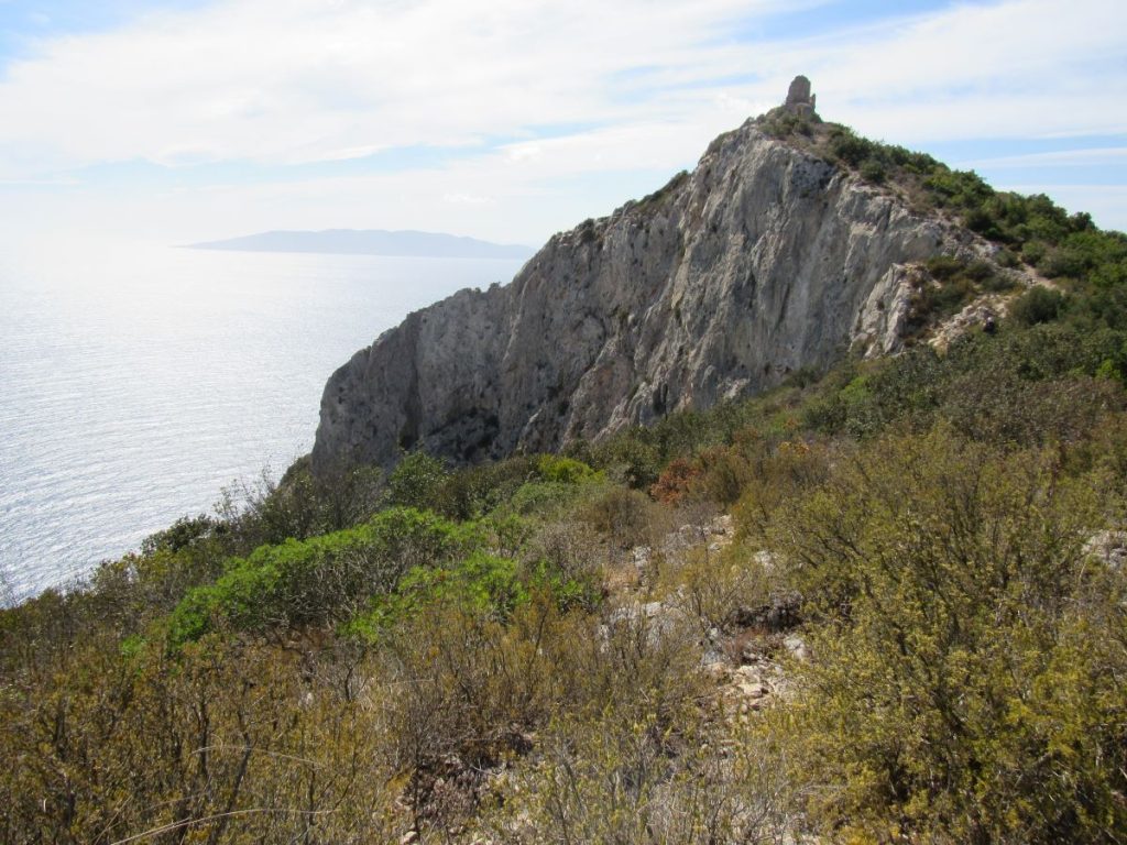La falesia di Capo d