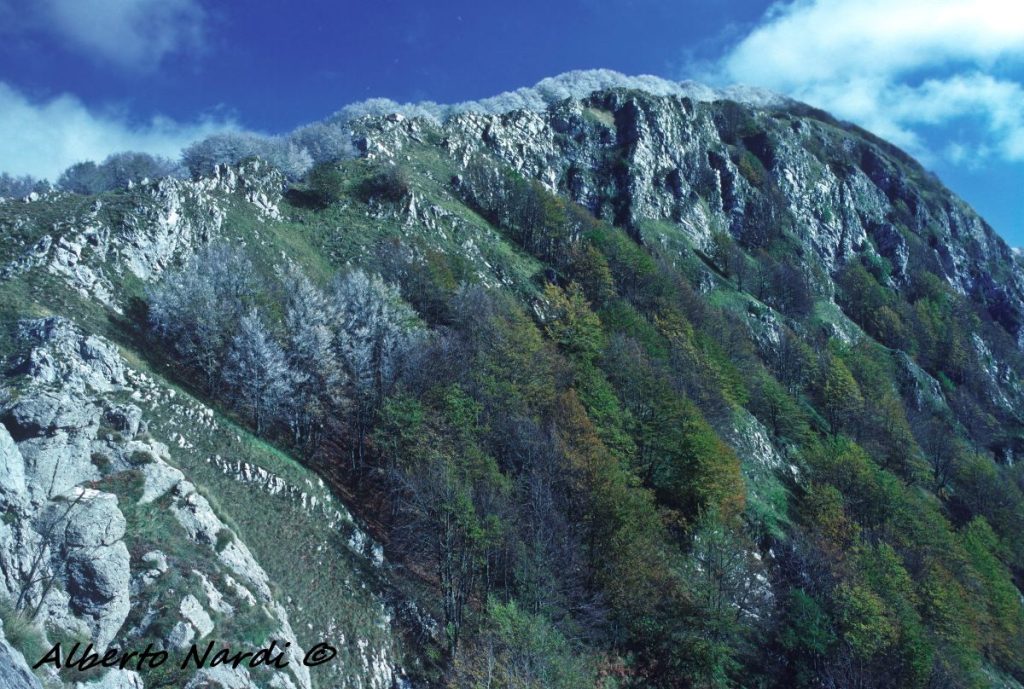 Il versante esposto a sud dell