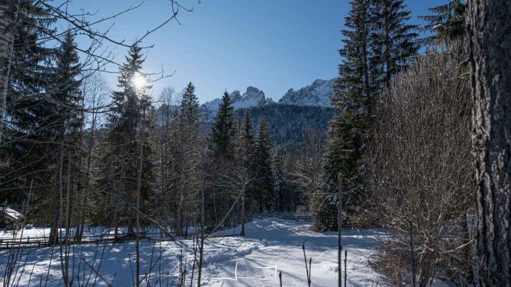 Il sentiero nel punto dove si attraversa la pista di fondo. Foto Luigi Tassi
