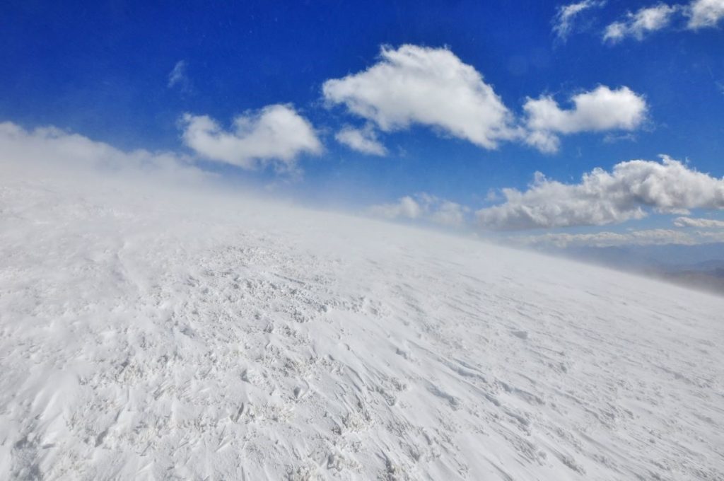 Sulla sommità de Monte Cristo, foto Stefano Ardito