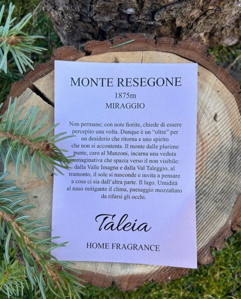 @taleia_home