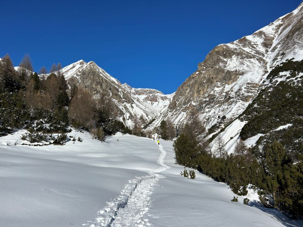 Uno dei tracciati per le ciaspole in partenza da Livigno