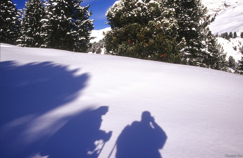 Parco Puez Odle. Foto Cesare Re