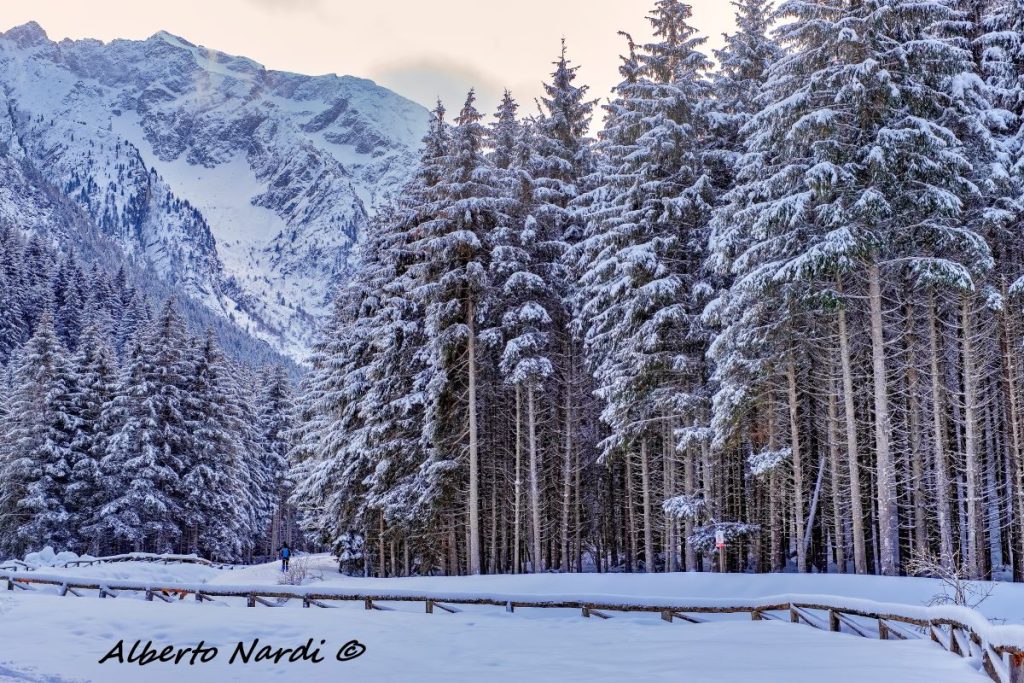 Camminare nel silenzio. Foto Alberto Nardi