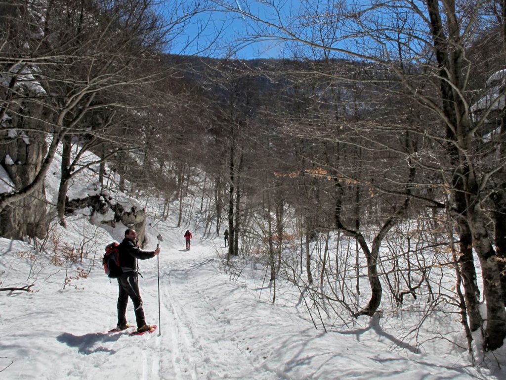 Ciaspole in Val Chiarano, foto Stefano Ardito