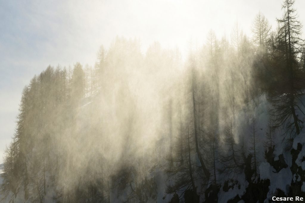 Alberi, nebbia e controluce.  Campanile e Cima Val di Roda. Foto Cesare Re