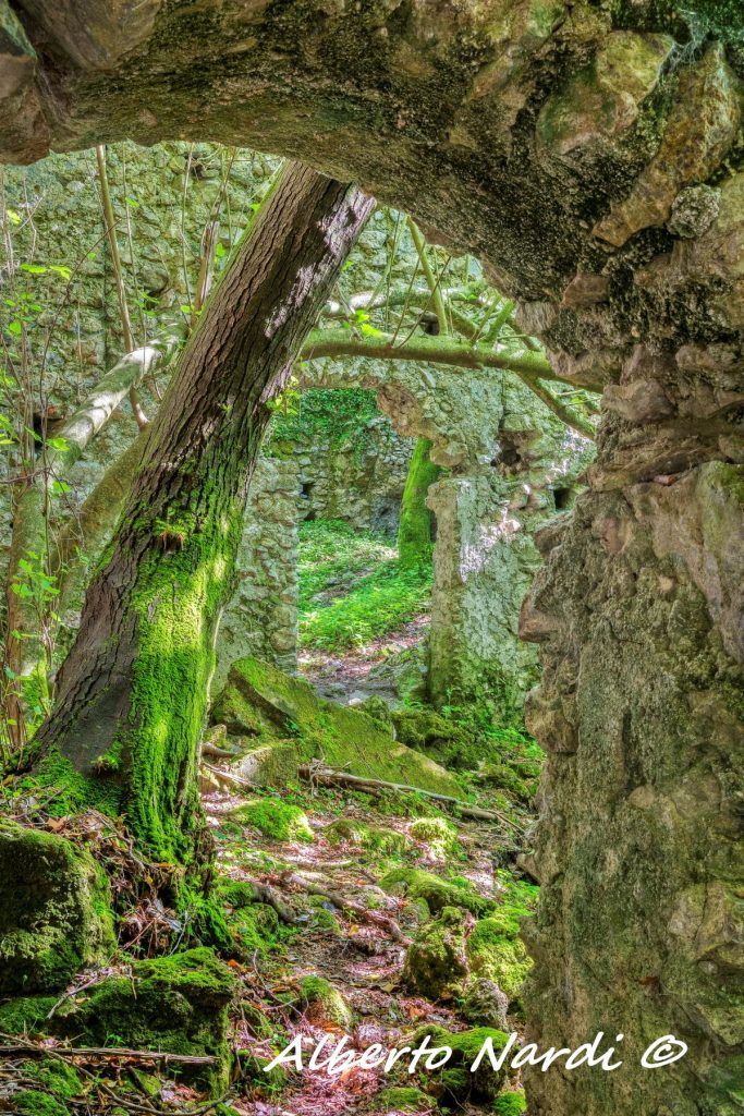 I resti di un mulino anticamente utilizzato dalle ferriere. Foto Alberto Nardi