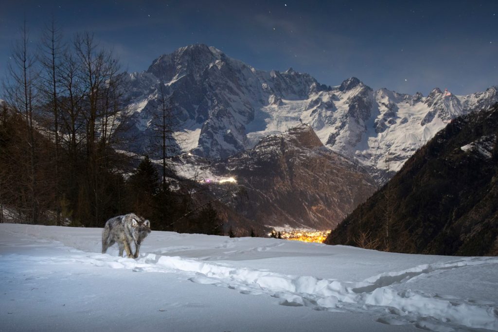 In the Shadow of Mont Blanc. Foto Francesco Guffanti