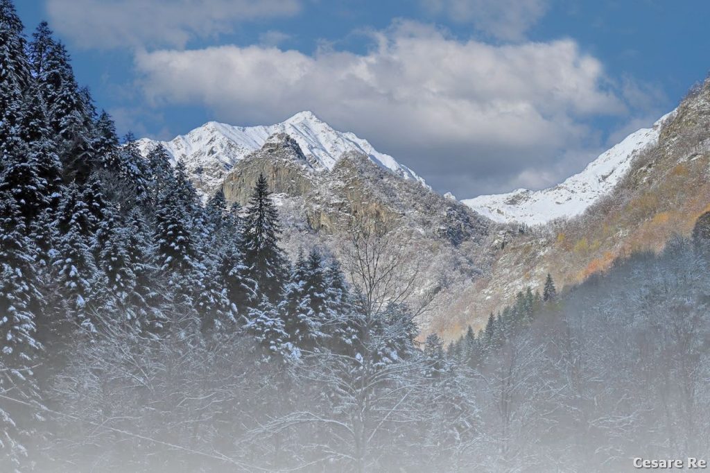 La Val Gronda, dai pressi della zona di Oro e Ortigoso. Foto Cesare Re