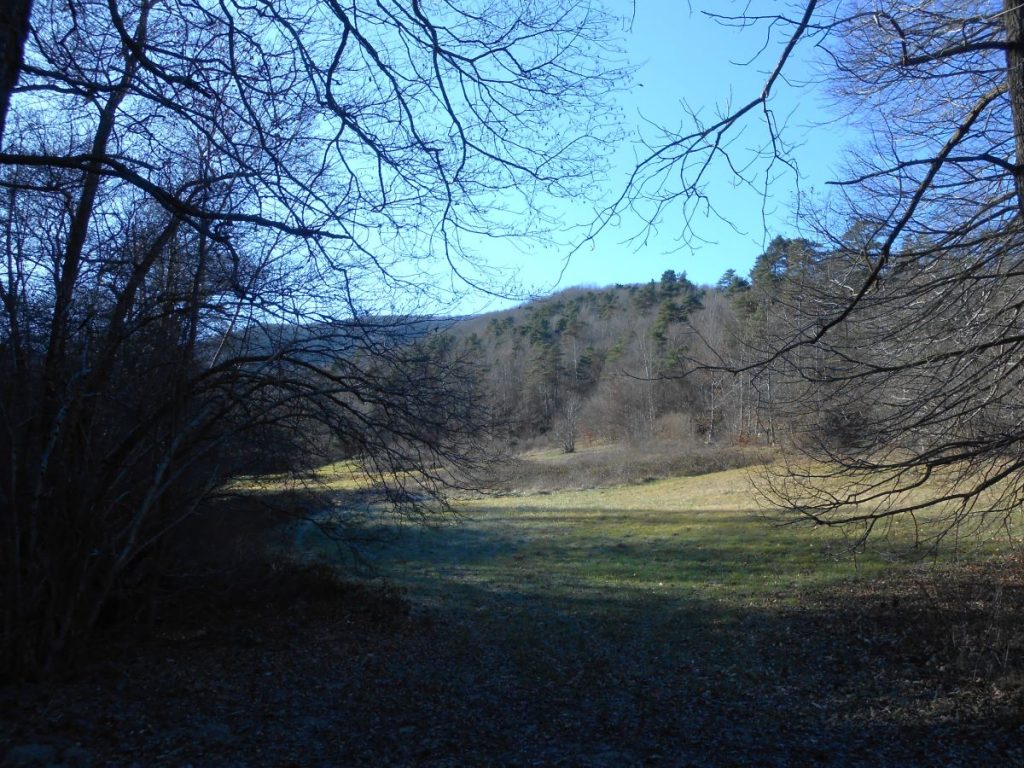 Nel Vallone del Rio di Muschieto.Foto Lorenzo Volpe