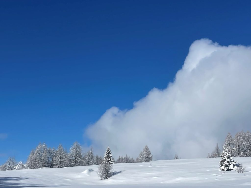 Distanti da ogni rumore i suoni si fanno più ricercati, misteriosi e interessanti, foto M. Comi