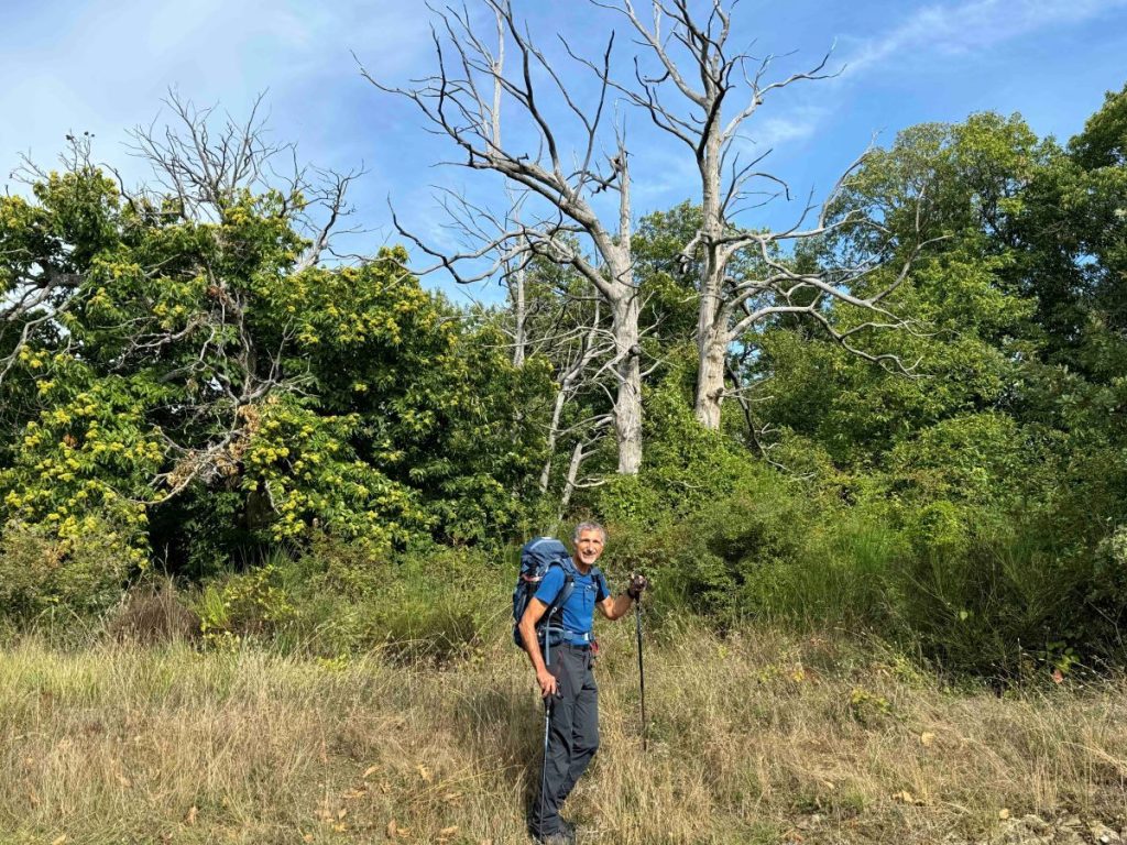 Nei pressi di La Verna