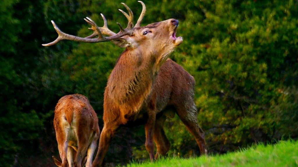 Una scena di Open your eyes