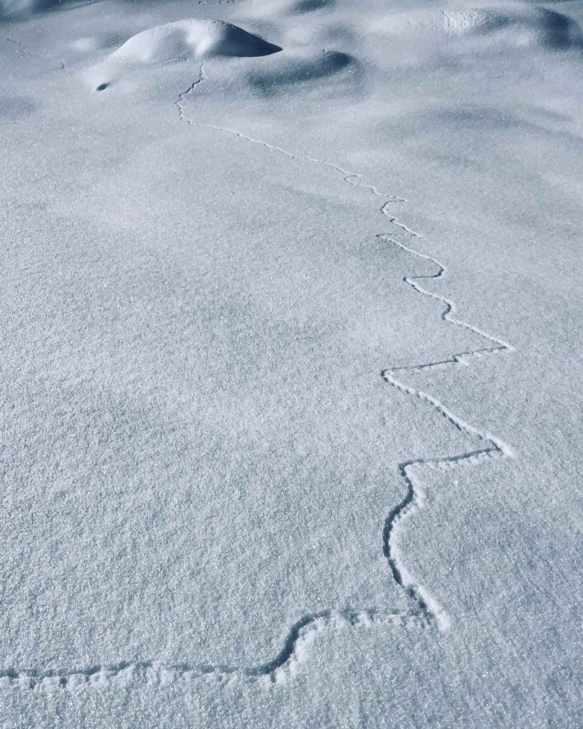 Scendiamo per un attimo dal perenne piedistallo che ci eleva al di sopra di tutto, foto M. Comi