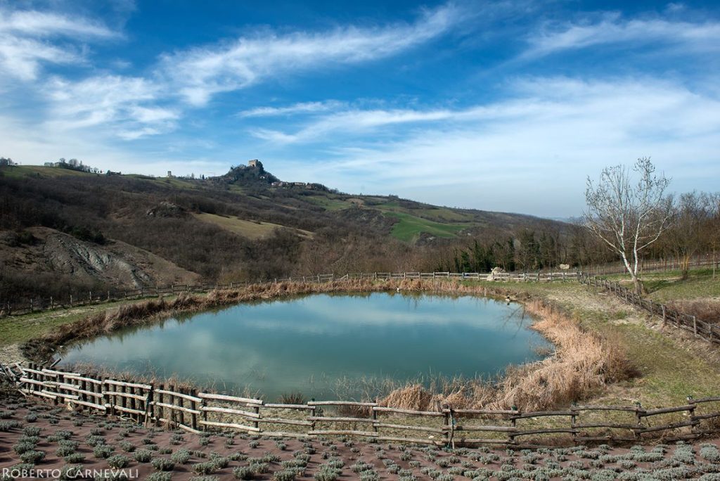 Tra Rossena e Canossa. Foto Roberto Carnevali