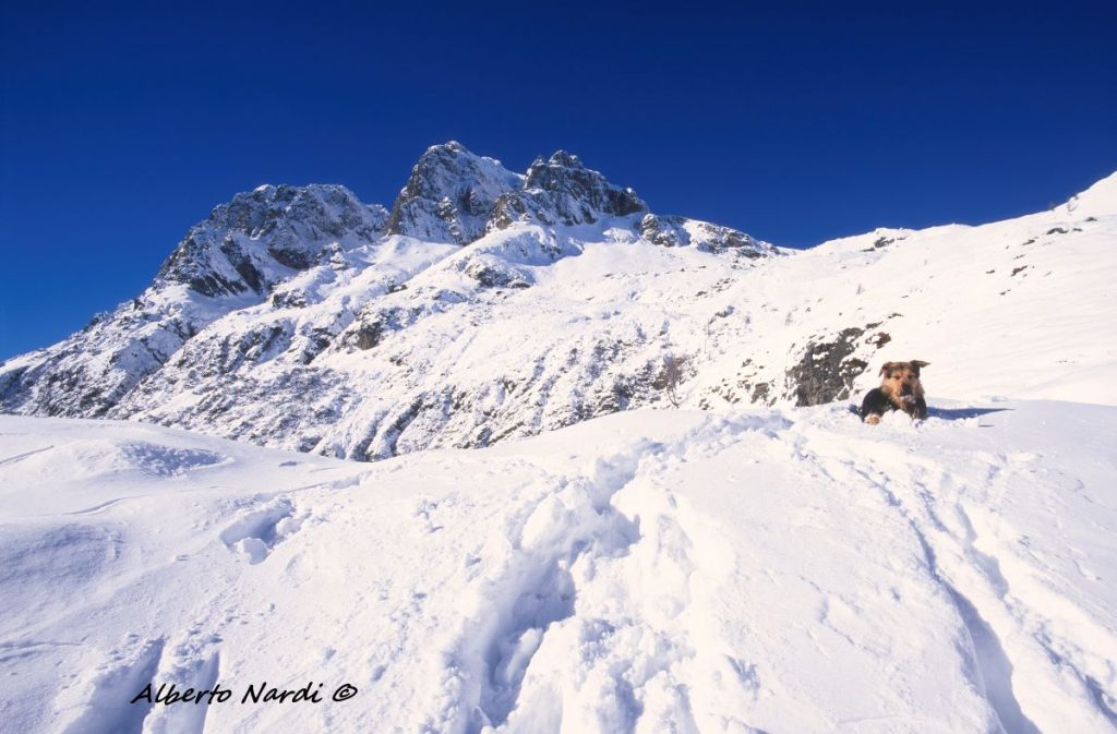 Il Cornone del Blumone . Foto Alberto Nardi