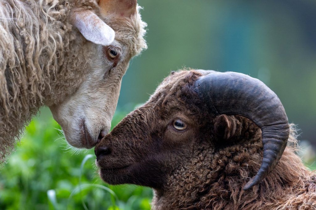 Incontri @ Christian Elzenbaumer