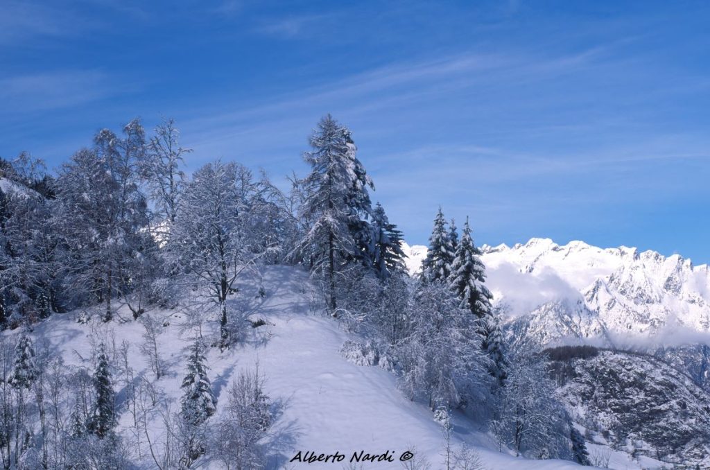 Il paesino di Campo e il Gruppo del Disgrazia. Foto Alberto Nardi