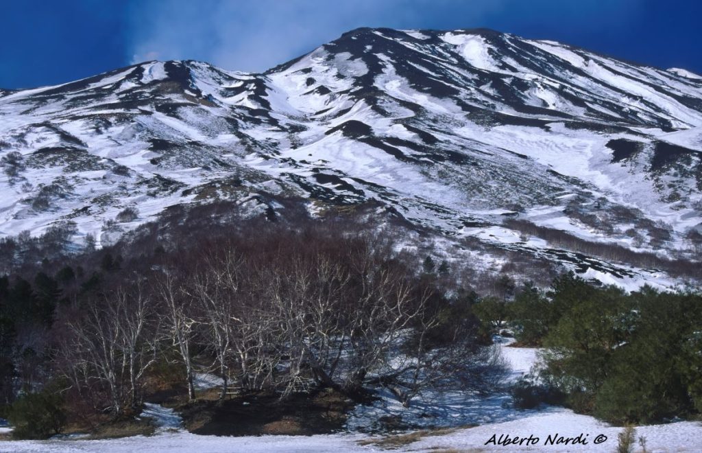 Le ultime betulle prima dei crateri. Foto Alberto Nardi