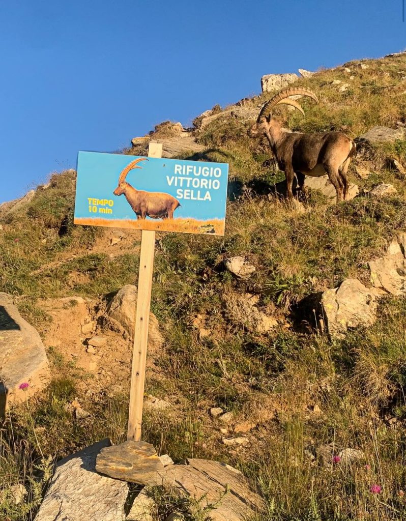 Lungo il sentiero di salita. Foto FB Rifugio Vittorio Sella