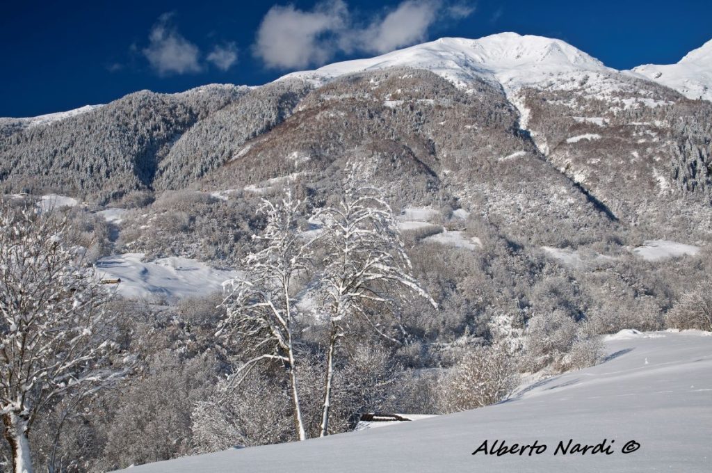 Cima Cadì. Foto Alberto Nardi