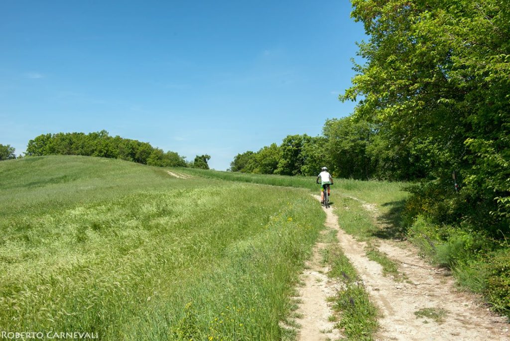 La tappa da Reggio Emilia a Canossa è percorribile quasi interamente anche in mountain bike. Foto Roberto Carnevali