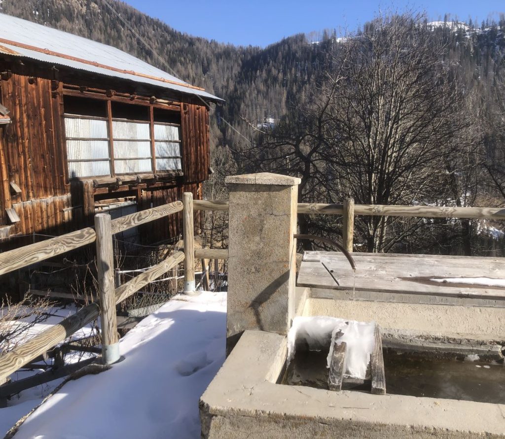 La fontana. Foto Massimo Spampani