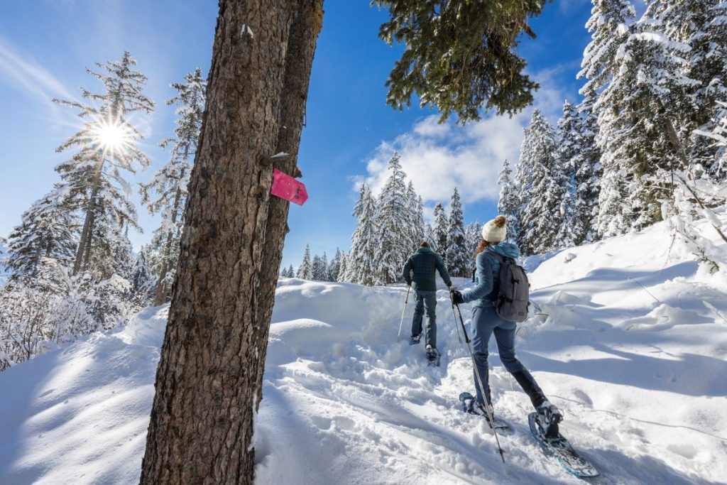 Uno dei percorsi tracciati per le ciaspole @ Maxime Aliaga