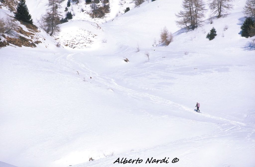 La salita. Foto Alberto Nardi