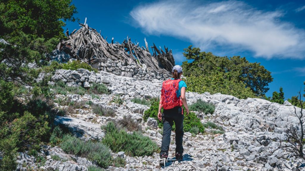 Verso un ovile. Foto Luigi Tassi