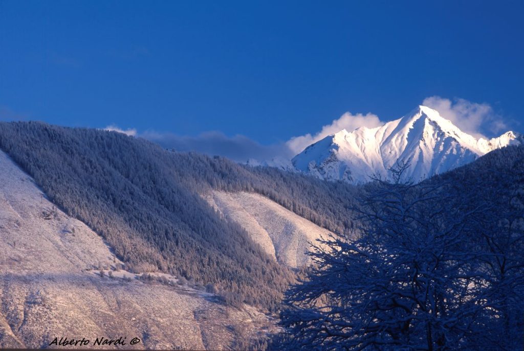 Il Gruppo del Monte Disgrazia visto salendo verso il Passo Tartano. Foto Alberto Nardi