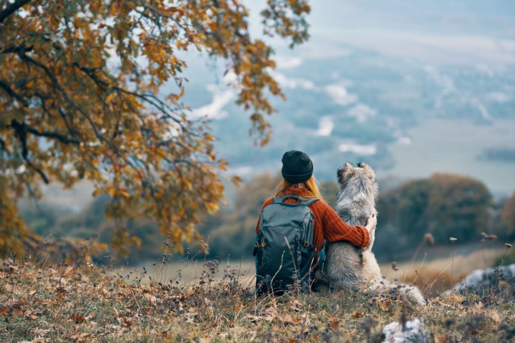 La gita con il cane è un piacere. Ma i rischi sono tanti @ AdobeStock