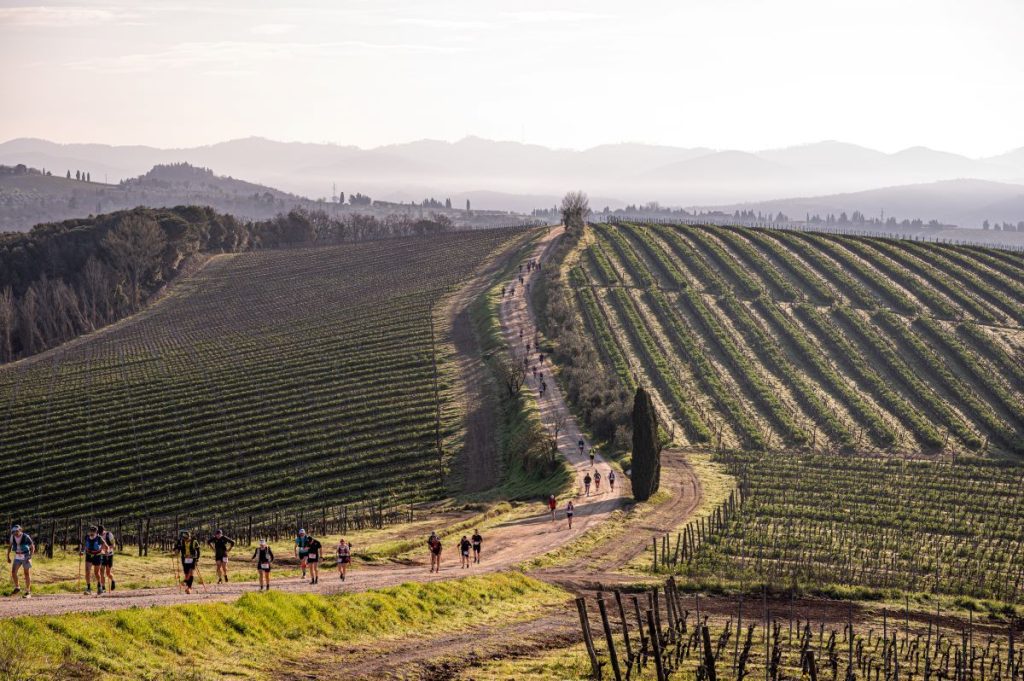 Di corsa tra colline e vigneti del Chianti. Foto Alessandro Moretti