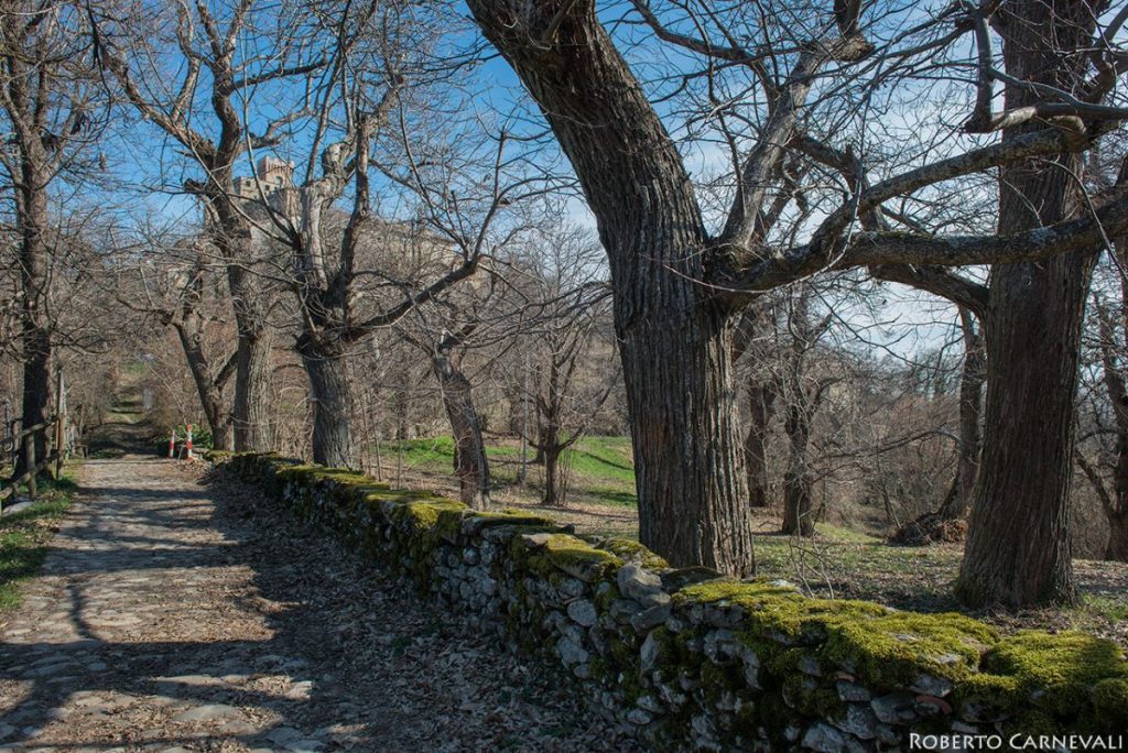 Nei pressi di Montecuccolo. Foto di RobertoCarnevali