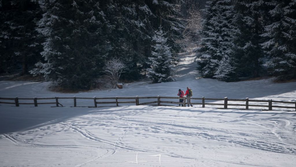 Pendenze moderate, o nulle, per buona parte delle escursioni. Foto Luigi Tassi