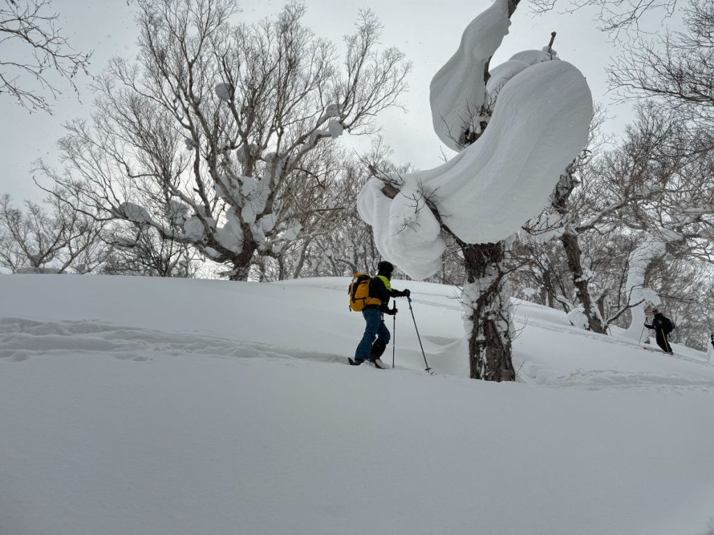 Salendo al Kiroro. Foto Tatiana Bertera