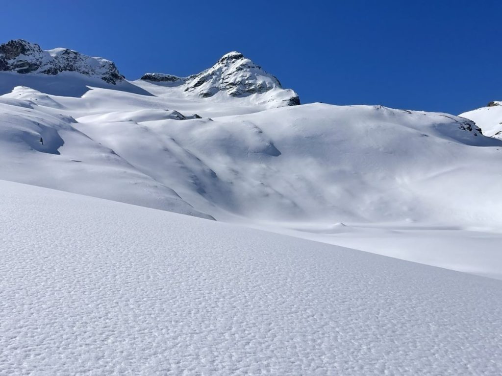 Sfondo bianco e pulito, foto M. Comi
